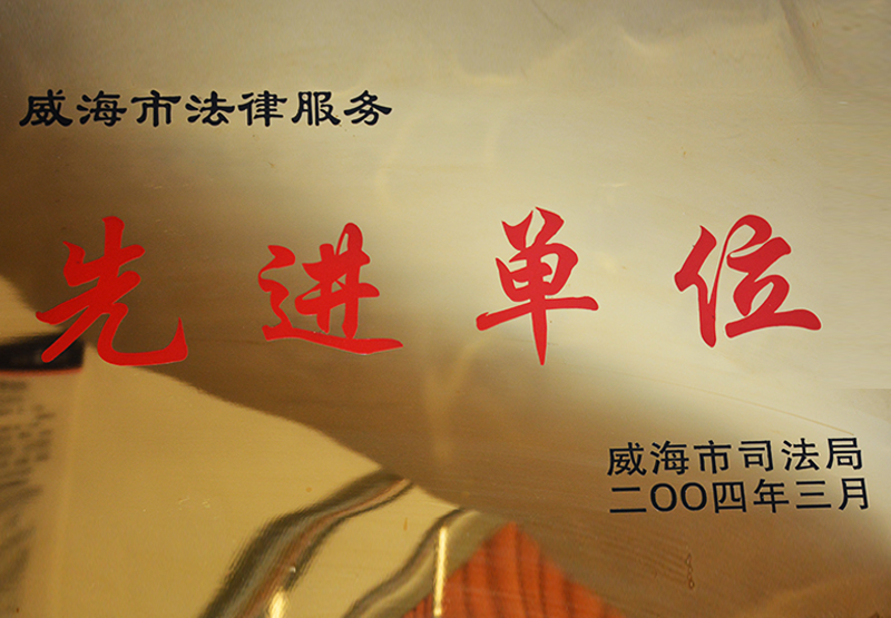 2004年先进