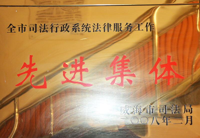 2008年先进