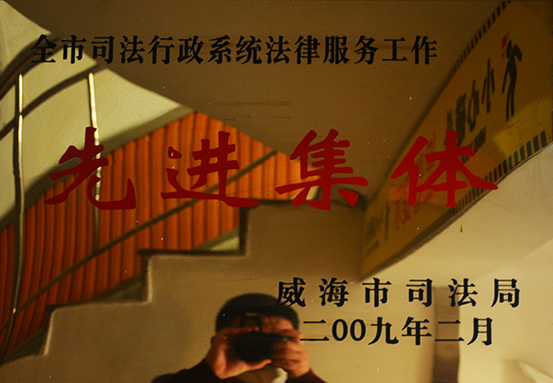 2009年先进