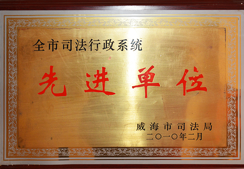 2010年先进