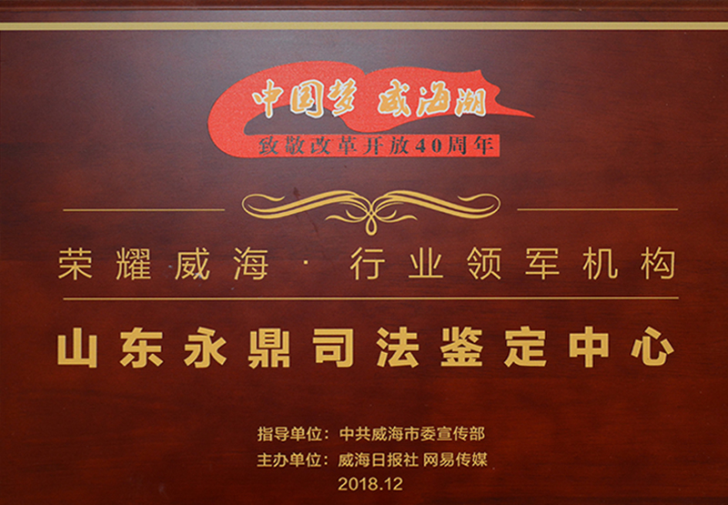 行业领军机构
